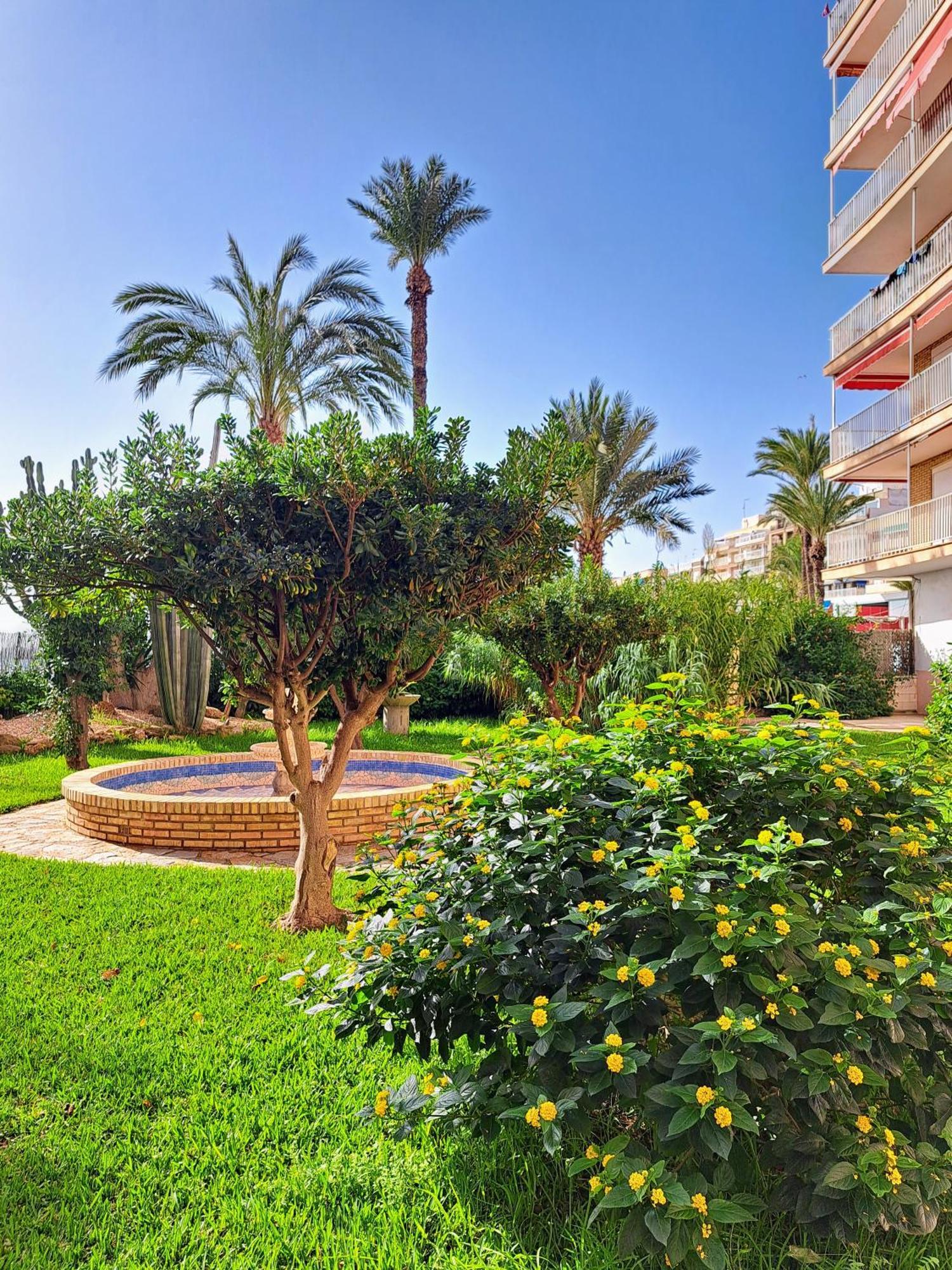Garden Beach Apartment Torrevieja Bagian luar foto